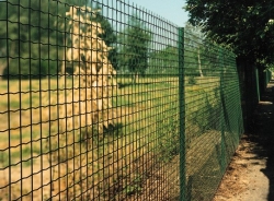 Svařovaná síť HEAVY 200cm zelená, oko 50x50 mm, pozink + PVC, drát 2,5 mm, 25m